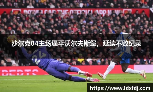 沙尔克04主场逼平沃尔夫斯堡，延续不败纪录