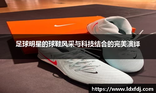 NG娱乐平台